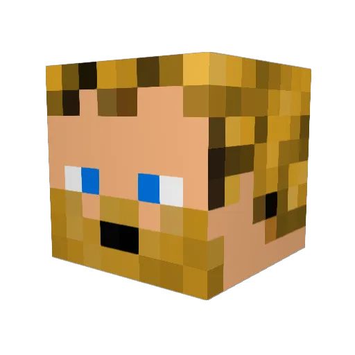 xWarner Minecraft avatar head, 3D render
