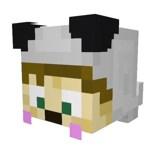 xWasaabi Minecraft avatar head, 3D render