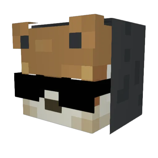 xWeezi Minecraft avatar head, 3D render