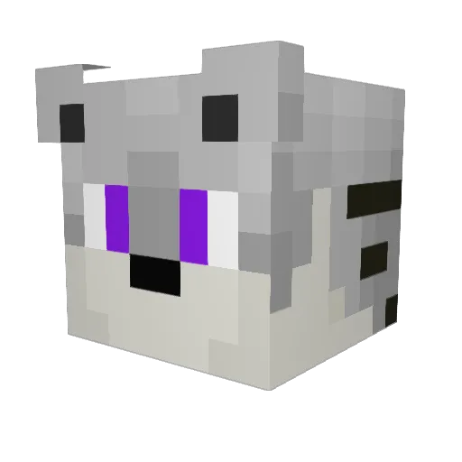 xWhiteTiger Minecraft avatar head, 3D render