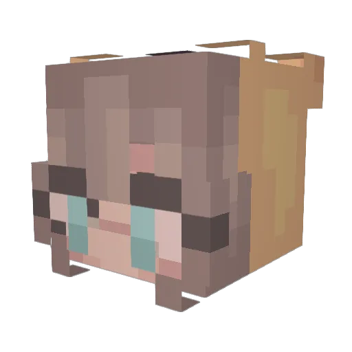 xWikiWx Minecraft avatar head, 3D render