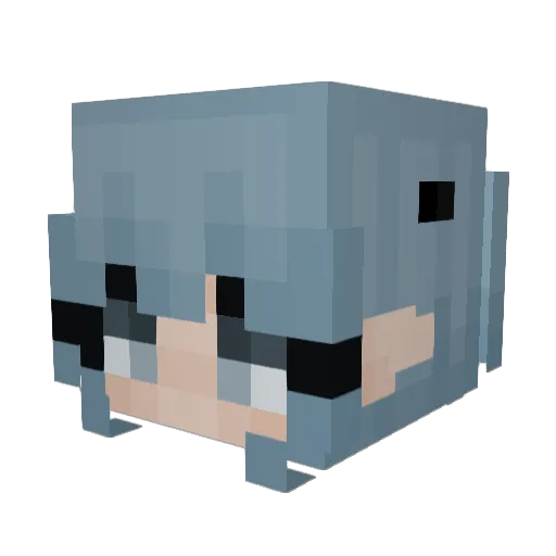 xWinnieBear Minecraft avatar head, 3D render