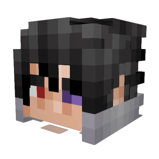 xWinterek Minecraft avatar head, 3D render