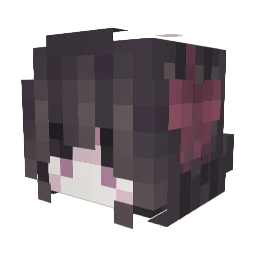 xWinterly Minecraft avatar head, 3D render