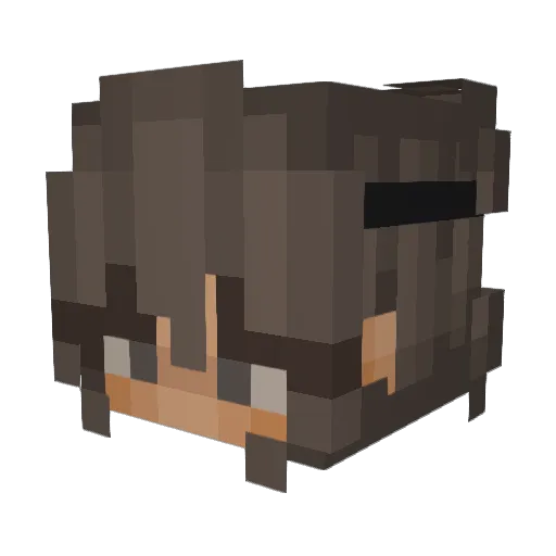 xWolfi Minecraft avatar head, 3D render