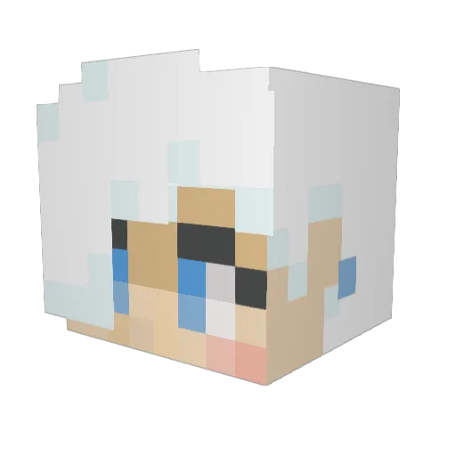 xWolfie99 Minecraft avatar head, 3D render