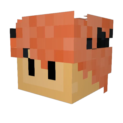 xWolvesxYT Minecraft avatar head, 3D render