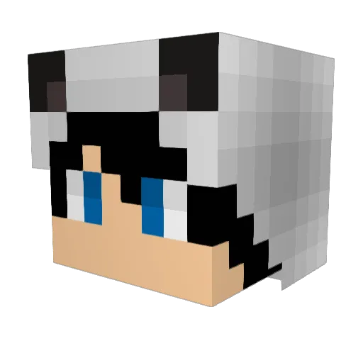 xWykSa Minecraft avatar head, 3D render