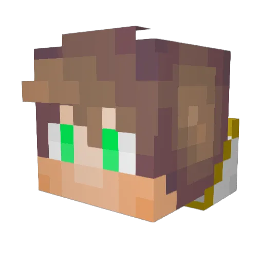 xX101GamerXx Minecraft avatar head, 3D render