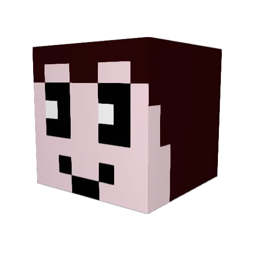 xX1NORM1Xx Minecraft avatar head, 3D render