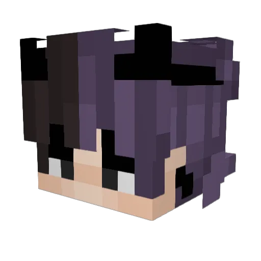 xX5ywXx Minecraft avatar head, 3D render