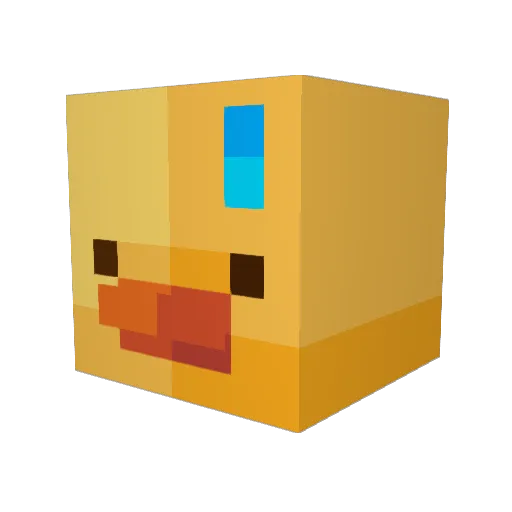 xXAgent_DuckXx Minecraft avatar head, 3D render