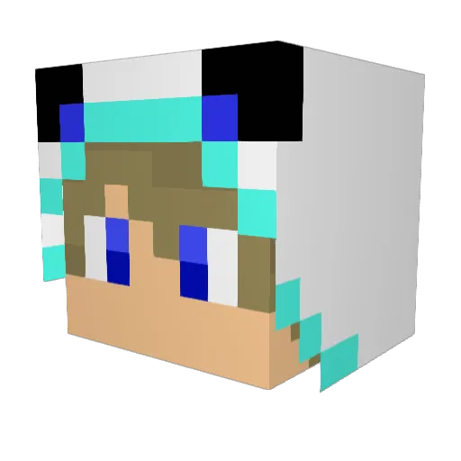 xXAlexGamerXx Minecraft avatar head, 3D render