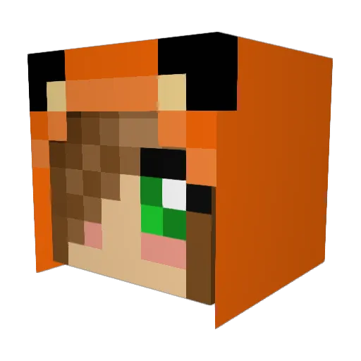 xXAlipticDerpXx Minecraft avatar head, 3D render
