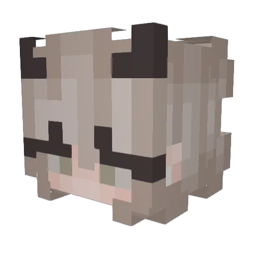 xXAnime_GirlXx Minecraft avatar head, 3D render