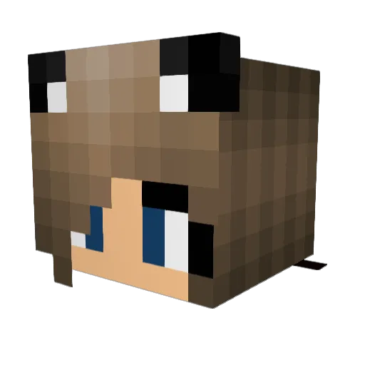 xXAspectXx Minecraft avatar head, 3D render