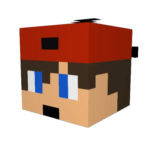 xXAssassinXx14 Minecraft avatar head, 3D render