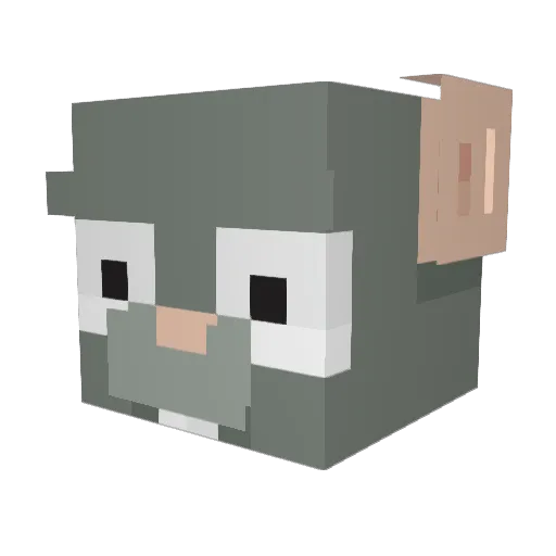xXBOXKIDx Minecraft avatar head, 3D render