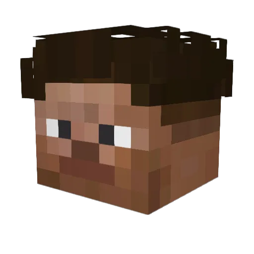 xXBartzXx Minecraft avatar head, 3D render