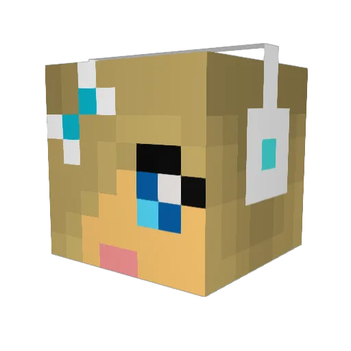 xXBattleBlazeXx Minecraft avatar head, 3D render