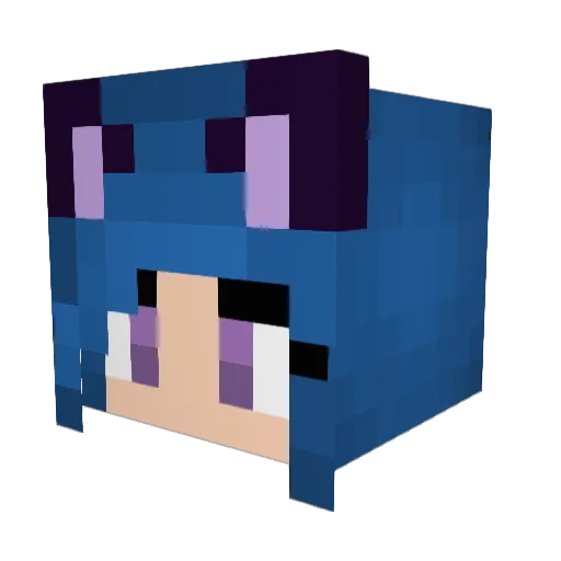 xXBeagleGamingXx Minecraft avatar head, 3D render