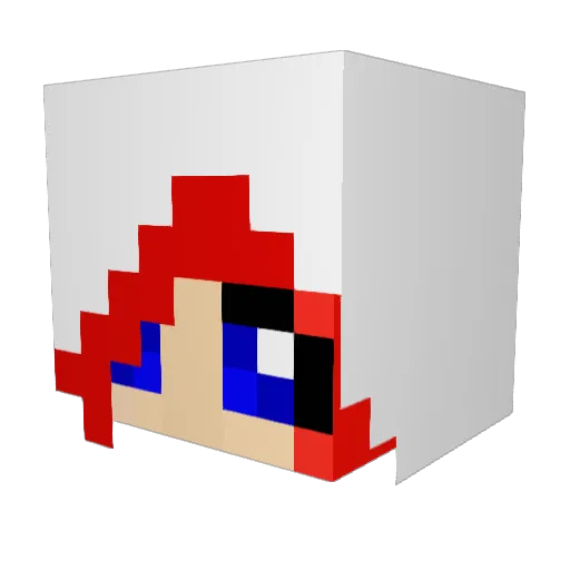 xXBest_Of_Xx Minecraft avatar head, 3D render