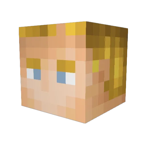 xXBigDigXx Minecraft avatar head, 3D render