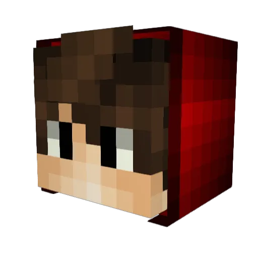 xXBlizzard123Xx Minecraft avatar head, 3D render