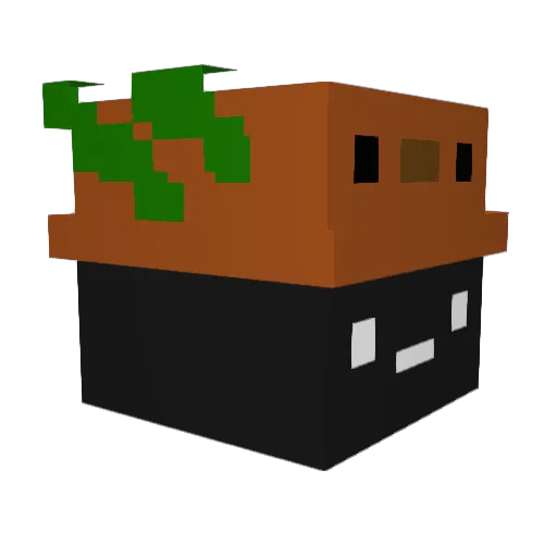 xXBriteeXx Minecraft avatar head, 3D render