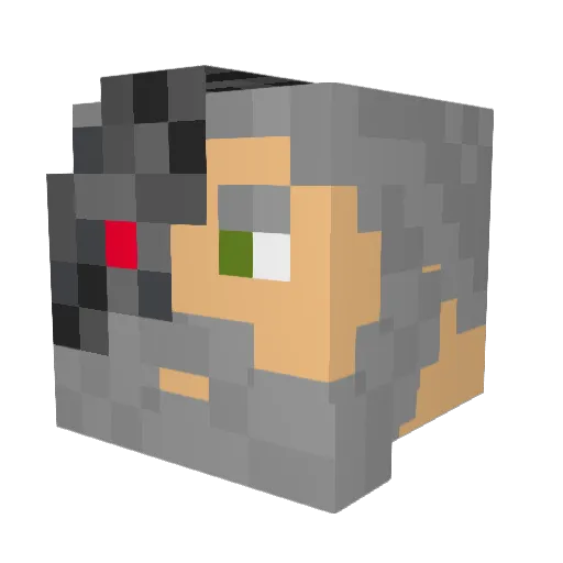 xXBushWookieXx Minecraft avatar head, 3D render