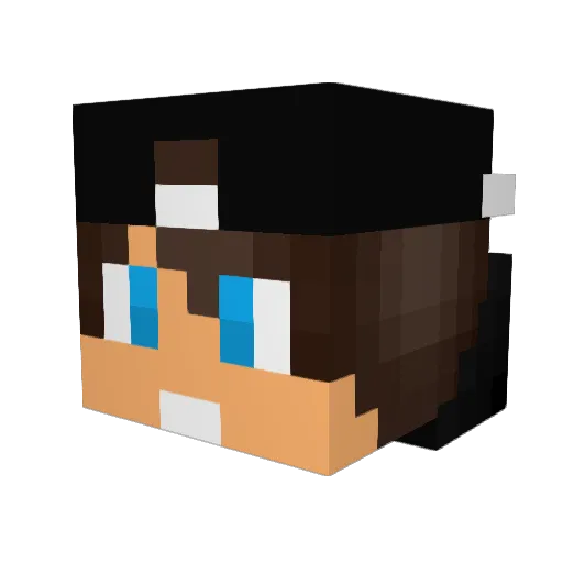 xXC00K13Xx Minecraft avatar head, 3D render