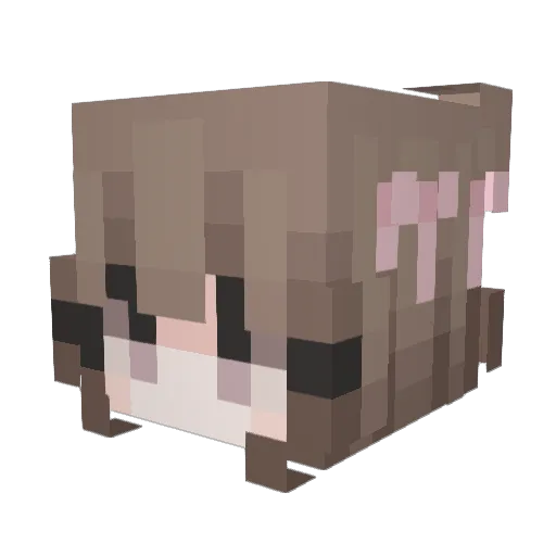 xXCapitanPriceXx Minecraft avatar head, 3D render