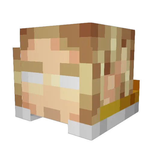 xXColinChan510Xx Minecraft avatar head, 3D render