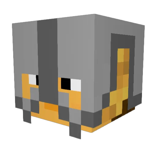 xXCrazyCatXx Minecraft avatar head, 3D render