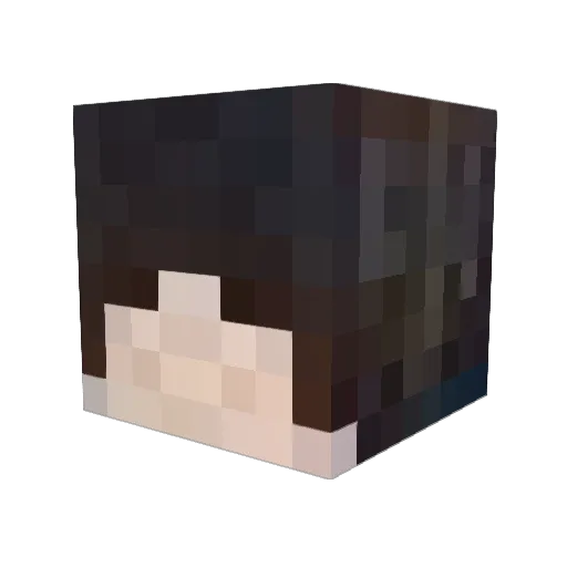 xXDSATGXx Minecraft avatar head, 3D render