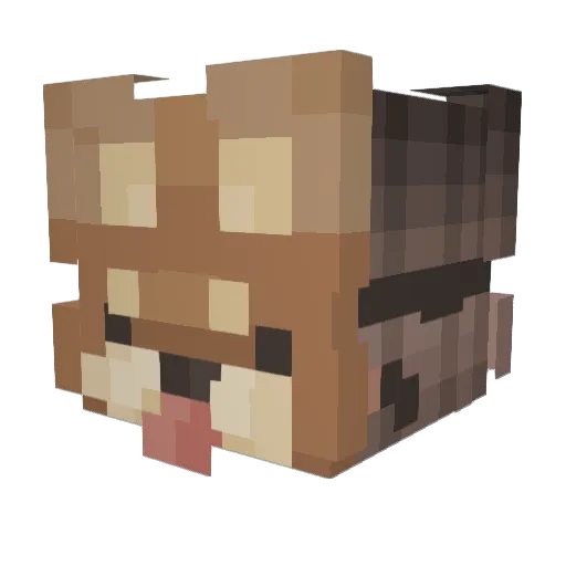 xXDaddyOreoXx Minecraft avatar head, 3D render