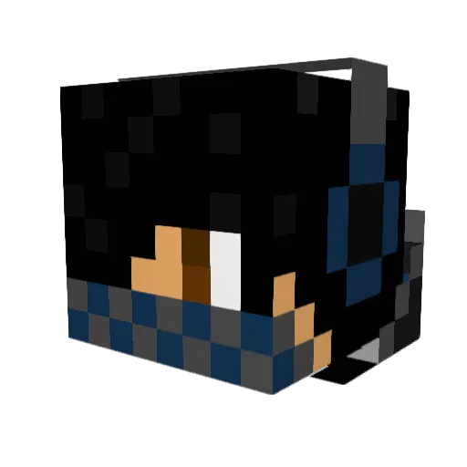 xXDarkmageXx12 Minecraft avatar head, 3D render
