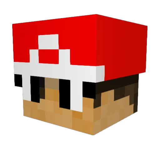 xXDeathXxminer Minecraft avatar head, 3D render