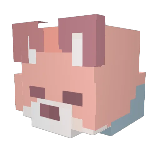 xXDerekXx Minecraft avatar head, 3D render