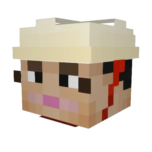 xXDimSimXx8675 Minecraft avatar head, 3D render