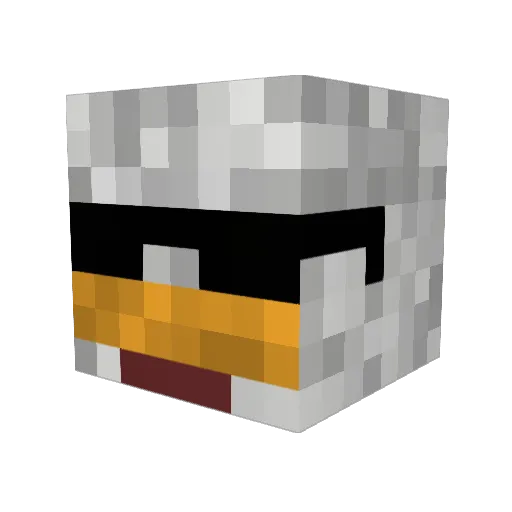 xXDolphinXx6014 Minecraft avatar head, 3D render