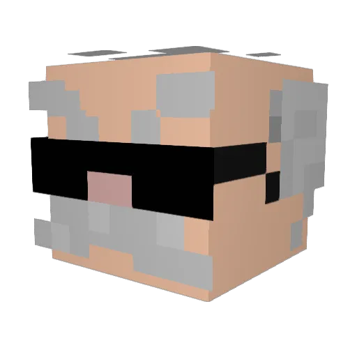 xXElMataDorXx Minecraft avatar head, 3D render
