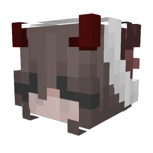 xXEtherealDollXx Minecraft avatar head, 3D render