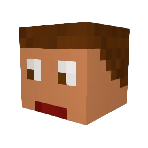xXExp3ertXx Minecraft avatar head, 3D render