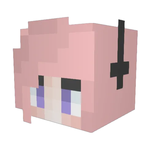 xXFaggitQueenXx Minecraft avatar head, 3D render