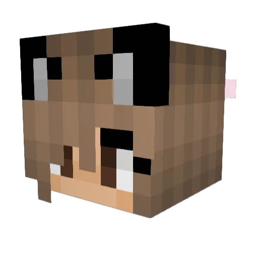 xXFerretsRuleXx Minecraft avatar head, 3D render