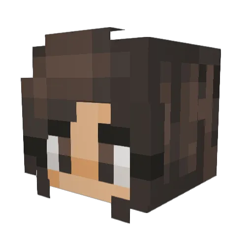 xXFireFlightXx Minecraft avatar head, 3D render