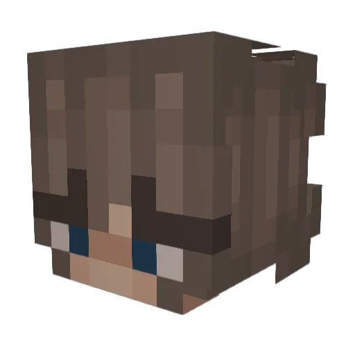xXFoxinationXx Minecraft avatar head, 3D render