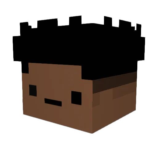 xXFu7zYXx Minecraft avatar head, 3D render