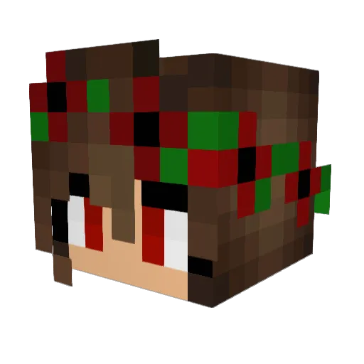 xXFuzzyPlayz Minecraft avatar head, 3D render